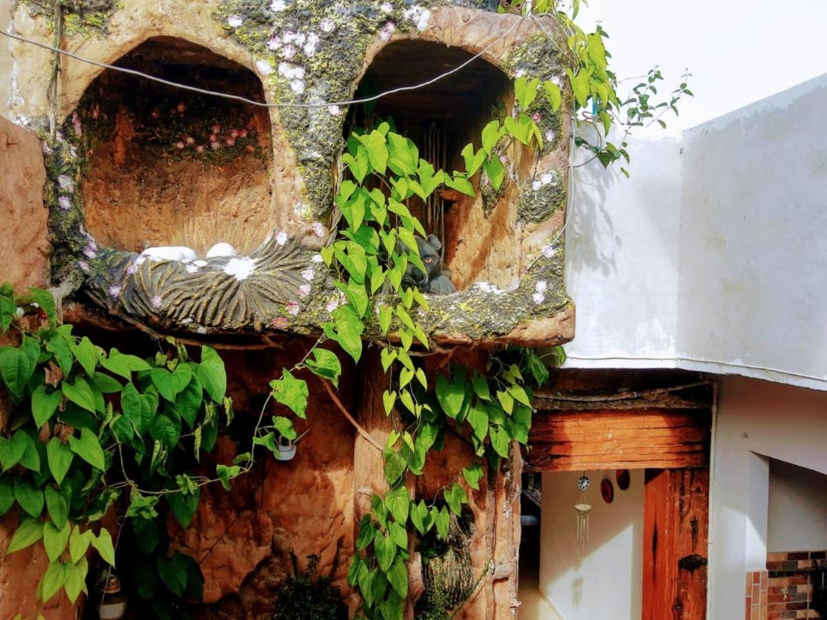 Hostal Solsticio Guajiro Ríohacha Exteriér fotografie